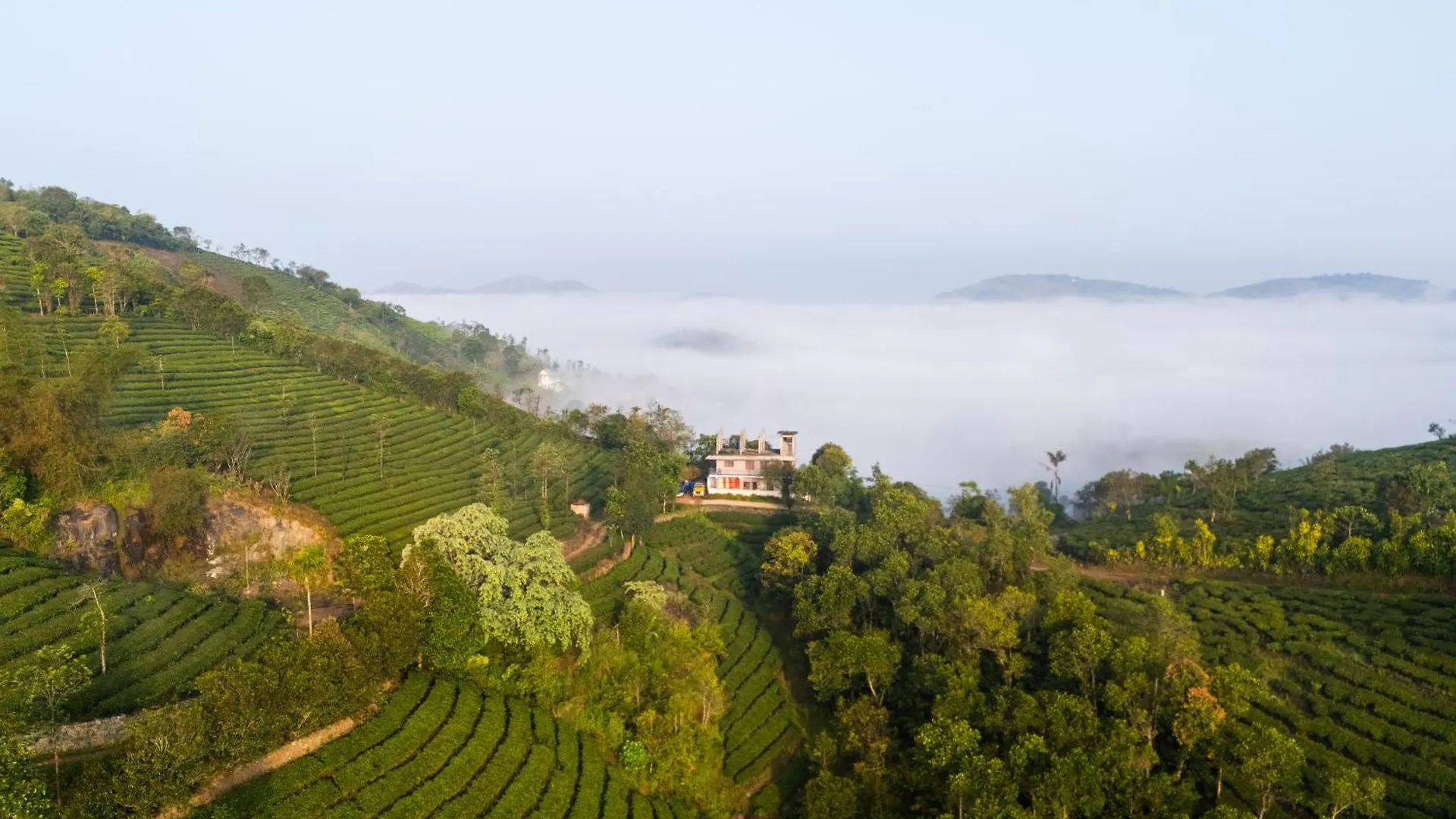 The East Bethany Vagamon 0*,  India