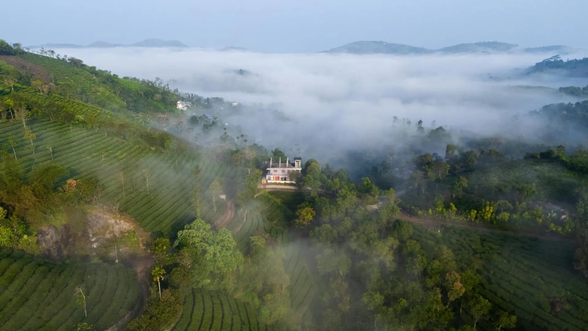 The East Bethany Vagamon