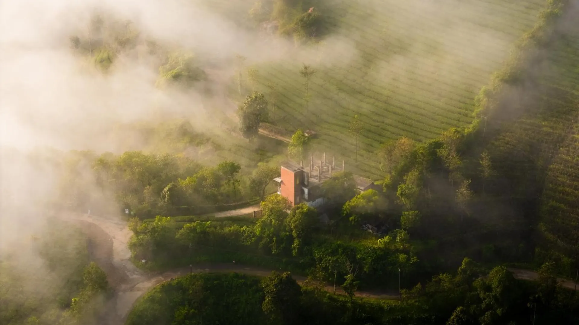 The East Bethany Vagamon
