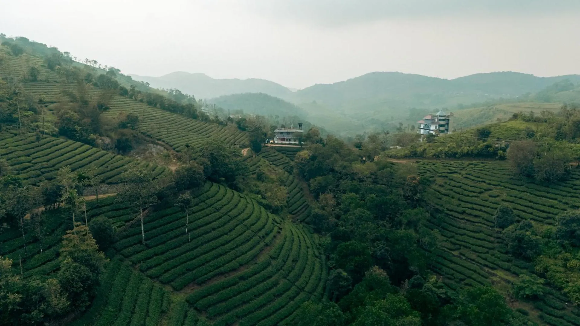 Apartment The East Bethany Vagamon India