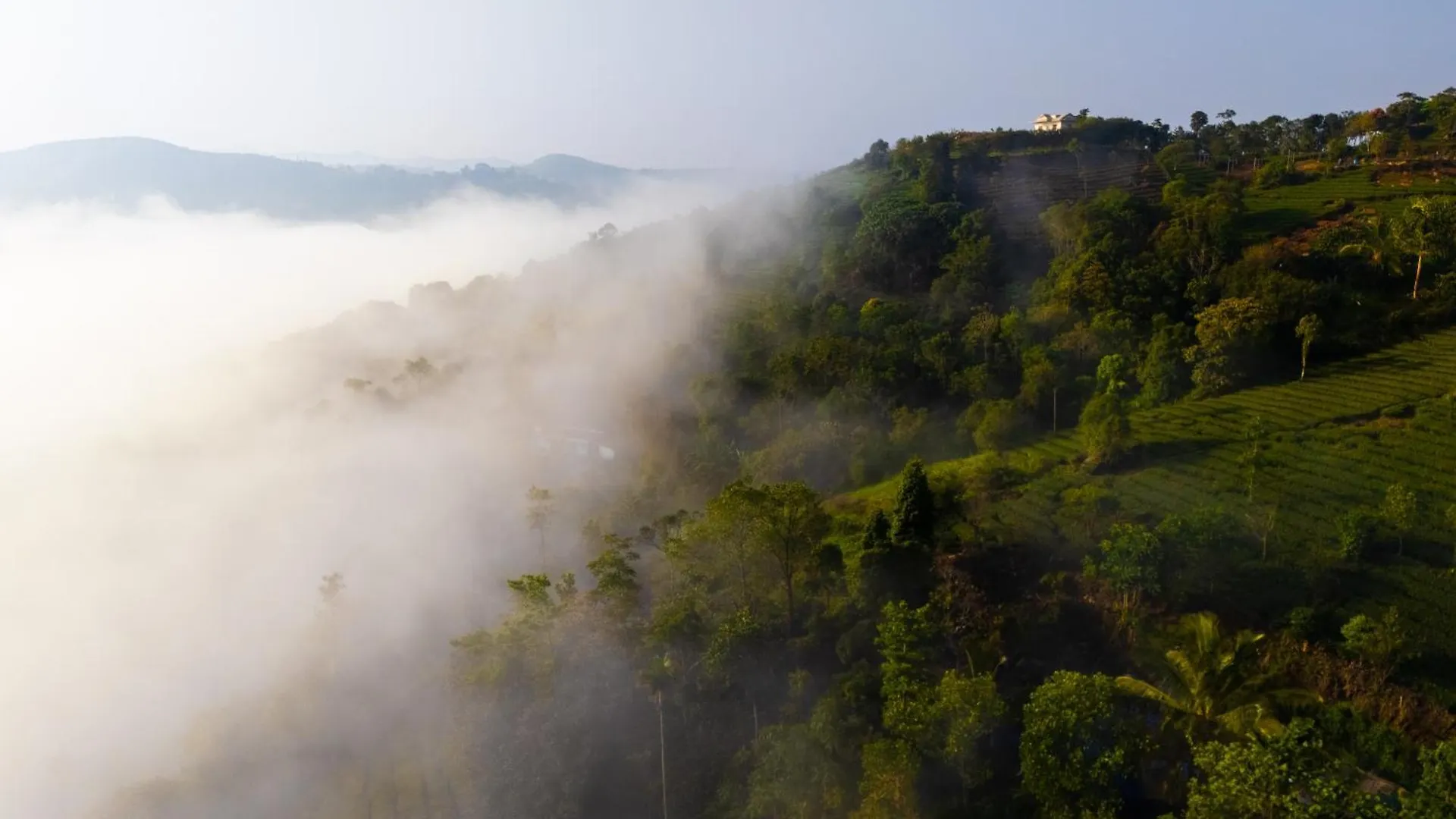 Apartment The East Bethany Vagamon