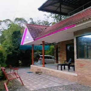 The Butterfly Apartment