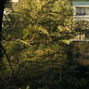 Falcon Crest Курортный комплекс