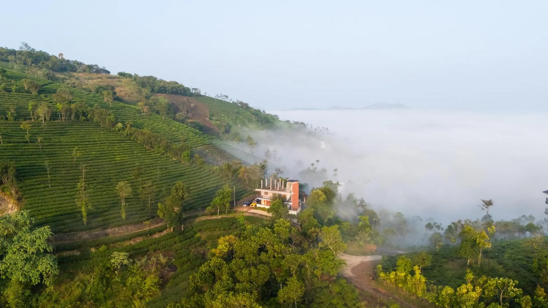 The East Bethany Vagamon