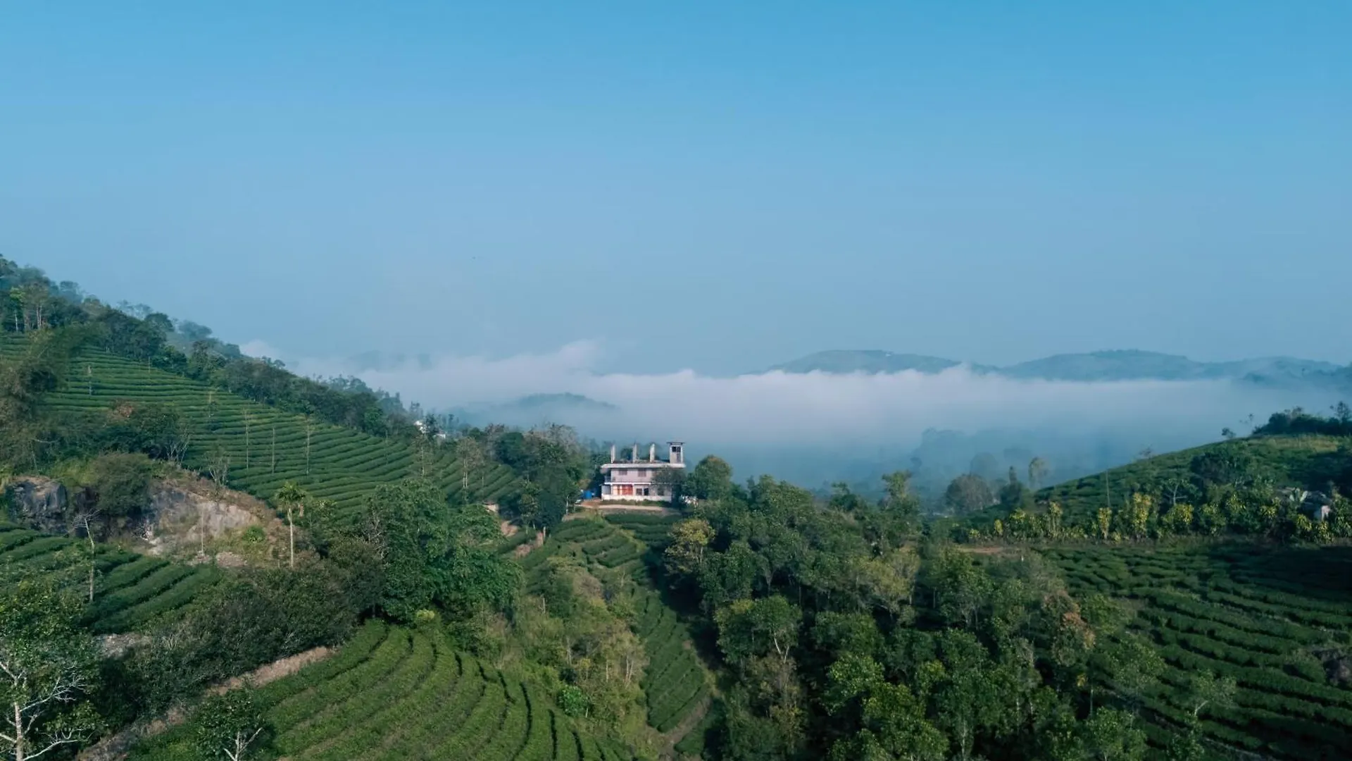 The East Bethany Vagamon 0*,